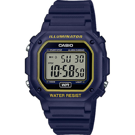 Часы CASIO Collection F-108WH-2A2EF