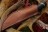 Нож Bark River Scandi Maroon Linen Micarta Ivory Spacer CPM-3V