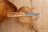 Нож Северная корона MATTI ZDI-1016 дамаск (карельская береза)