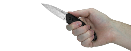 Нож складной Kershaw 1812 Dividend 420HC